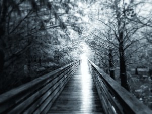 Afterlife