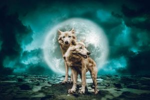 Contacting Spirit Guides