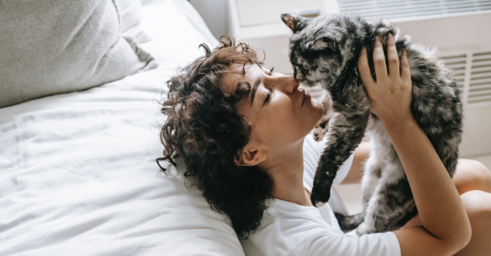 Cat Dies Cat Dies